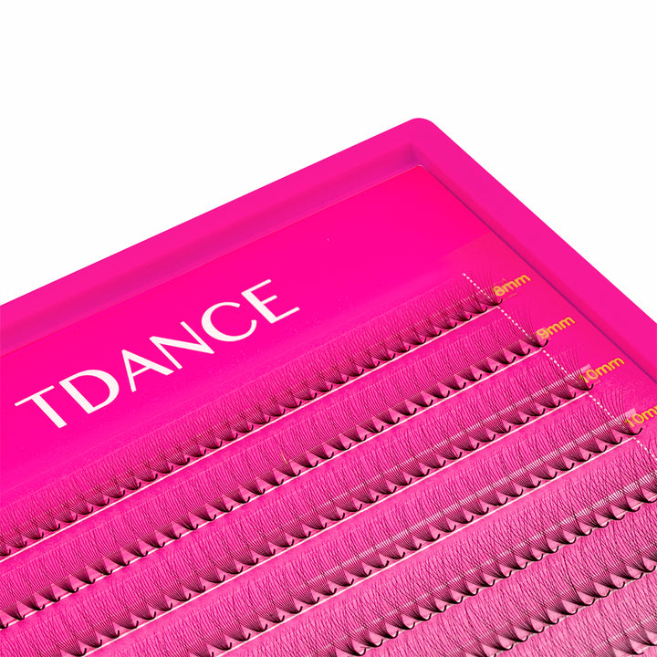 10D Narrow Promade Eyelash Extensions Ultra 1000 Fans