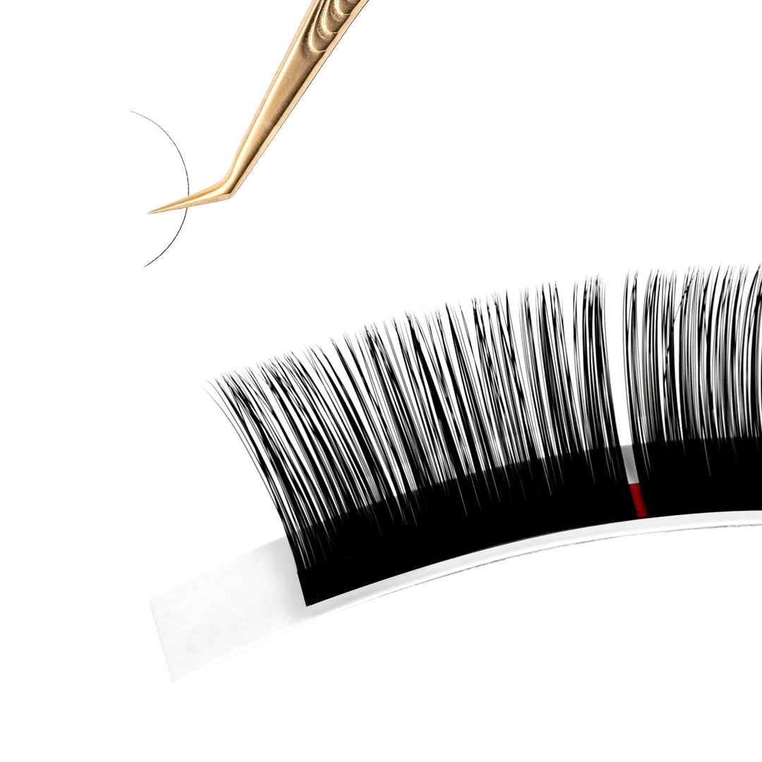 16Rows Premium Eyelash Extensions TDANCE