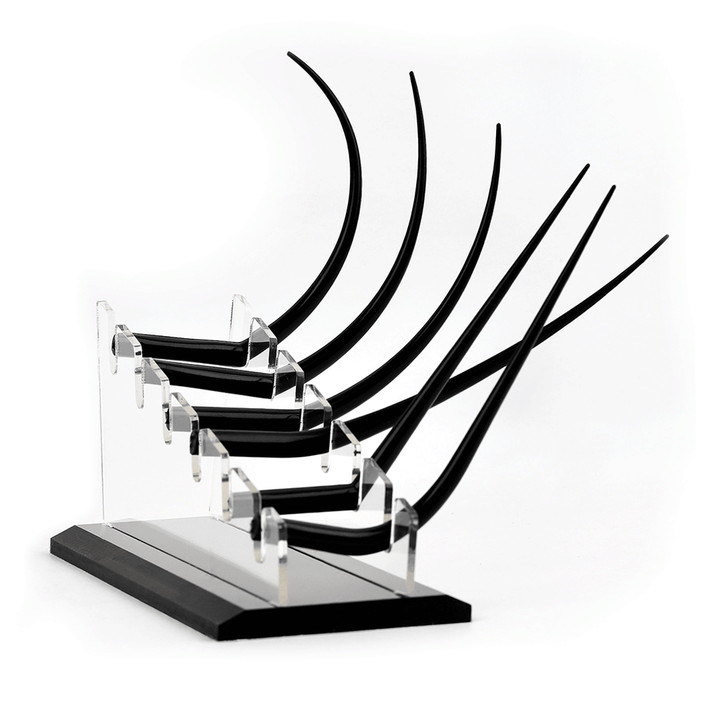 Eyelash Teaching Display Model- B1
