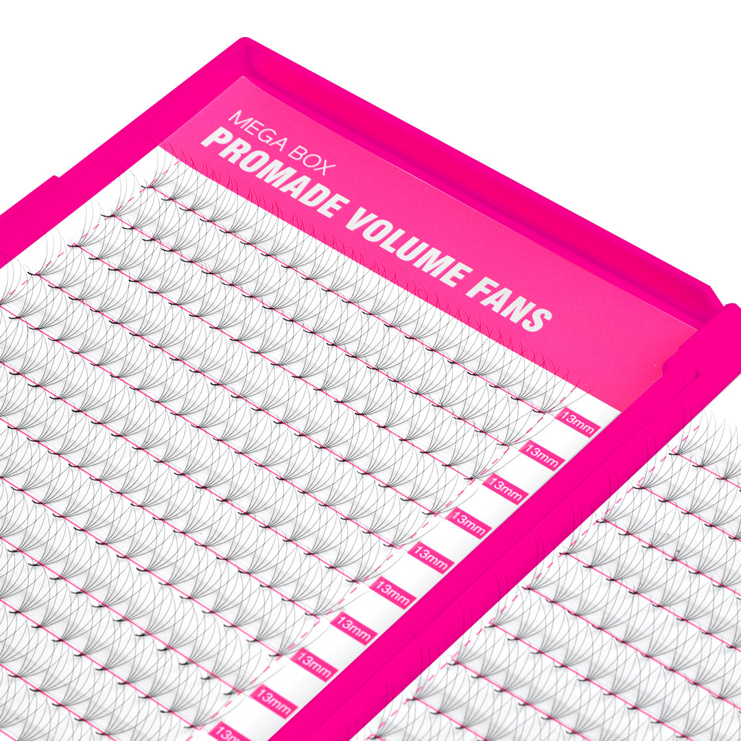 5D Promade Volume 500 Fans Lashbook TDANCE 