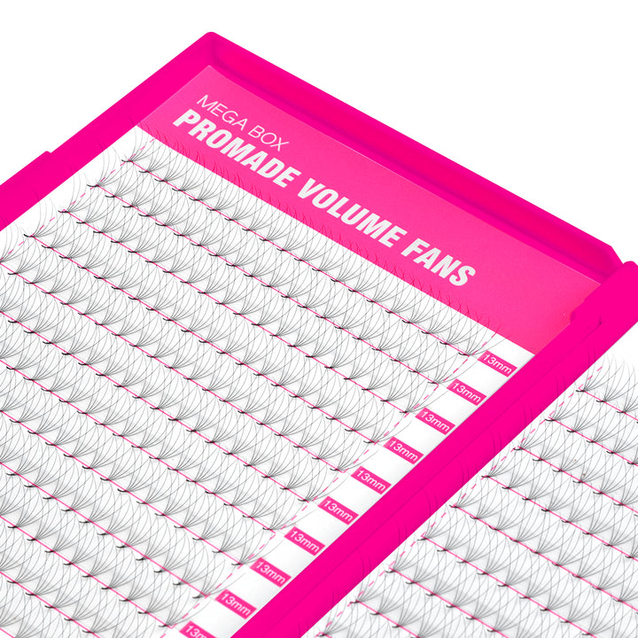 5D Promade Volume 500 Fans Lashbook TDANCE 