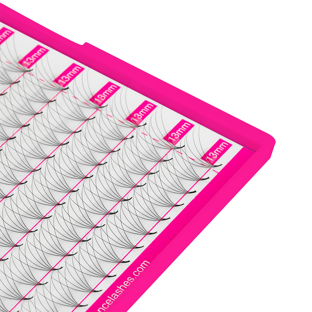 5D Promade Volume 500 Fans Lashbook TDANCE 